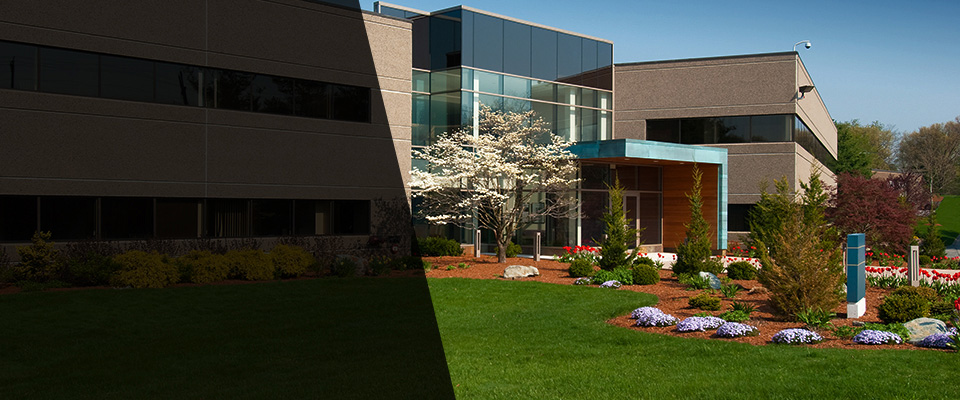 Lakeville Landscapers