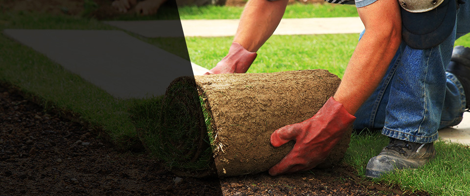 Lakeville Landscapers